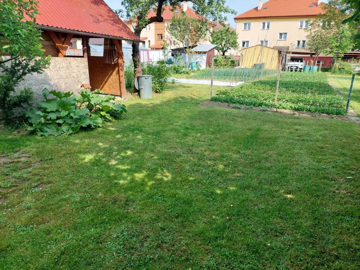 Vaclavskeho Apartment Medzilaborce Exterior foto